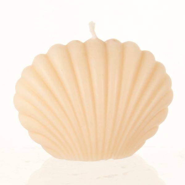 Shell small