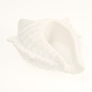 Shell