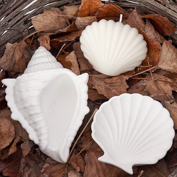 Shell - Image 2